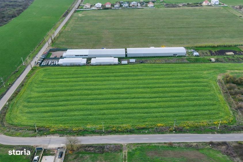 Teren intravilan 7.811 mp | Ciolpani, Ilfov | Acces drum public - 3