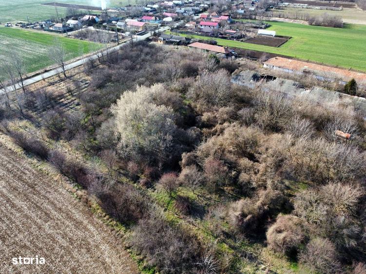 Ferma si livada de meri in judetul Ilfov - 5