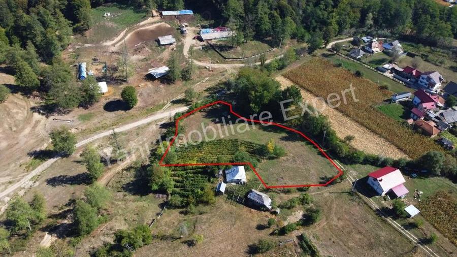 Teren de vanzare in comuna Baicule?ti, sat Tutana, jude? Arge?. - 1