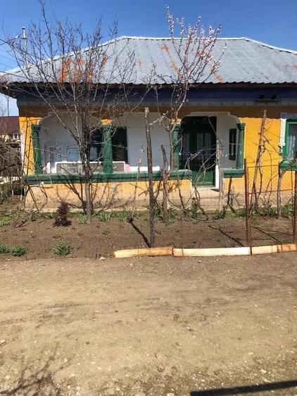 Casa+teren de vanzare - 4