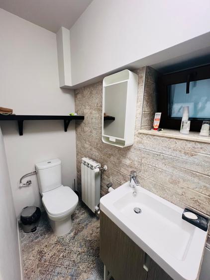 3 rooms for rent-luxury apartment next to  Kiseleff Park - 8