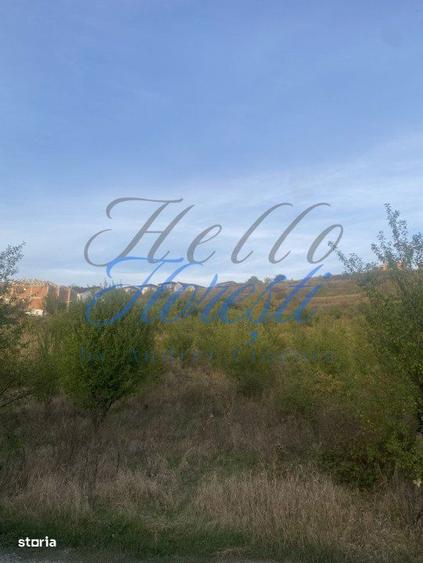 Vanzare teren intravilan 1900 mp - Dezmir, Cluj - 3
