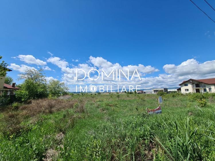 Vanzare loturi teren intravilan, situate in cartier Preajba, str. Frasinetului - 7