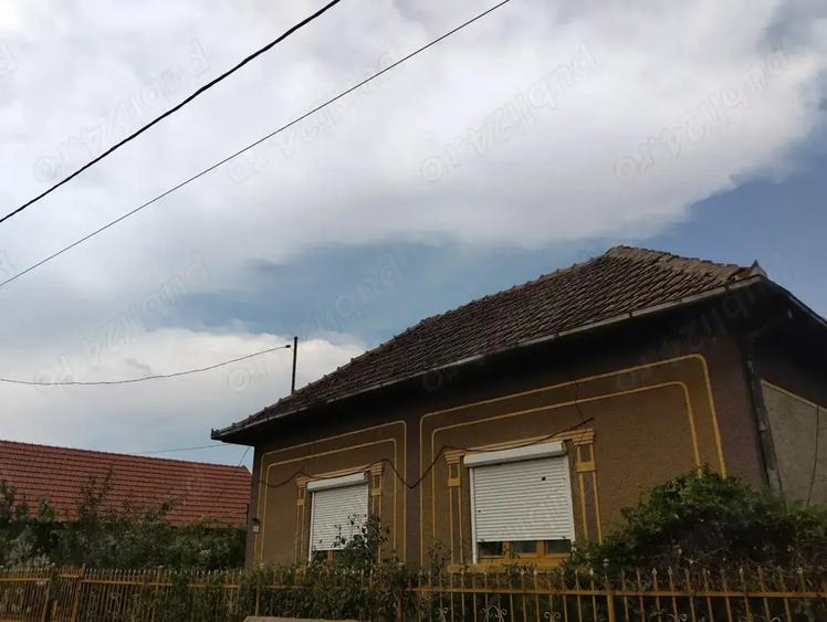 Casa de vanzare in Domanesti - 9