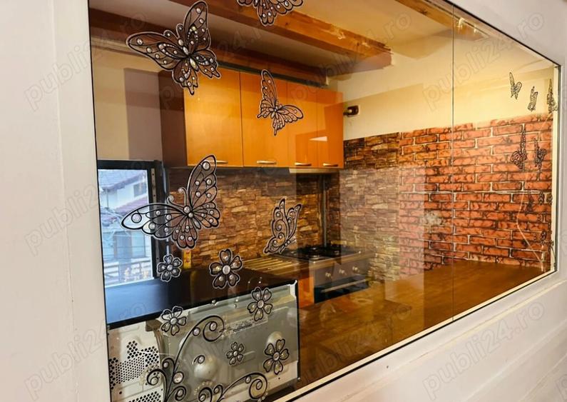 Dimtrie leonida studio dubla - 3