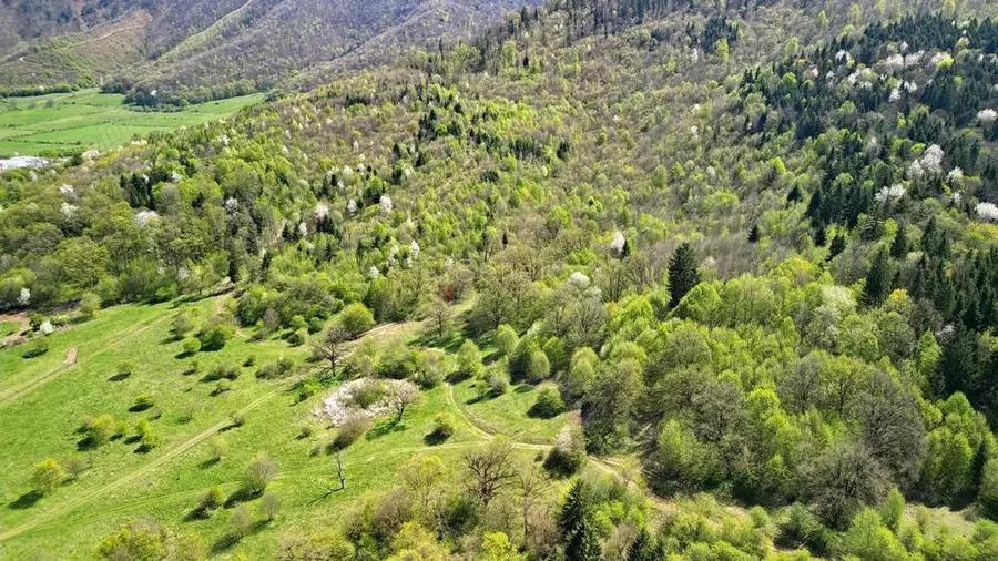 Teren Intravilan parcele 1000mp - 19