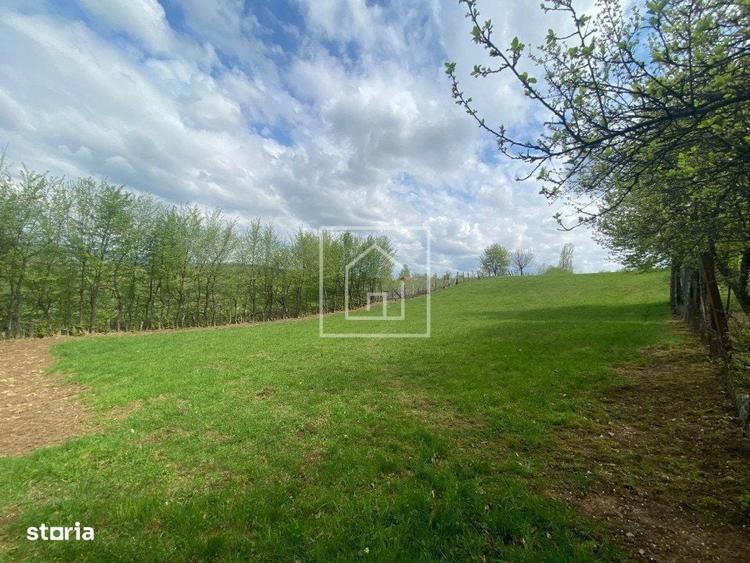 Teren intravilan 1042 mp cu vedere la munti si utilitati la poarta - 6