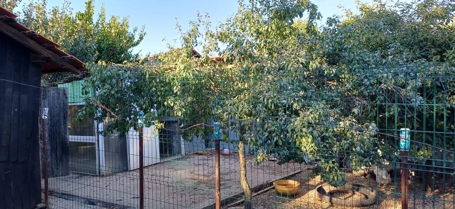 Vand casa la Terpezita - 3