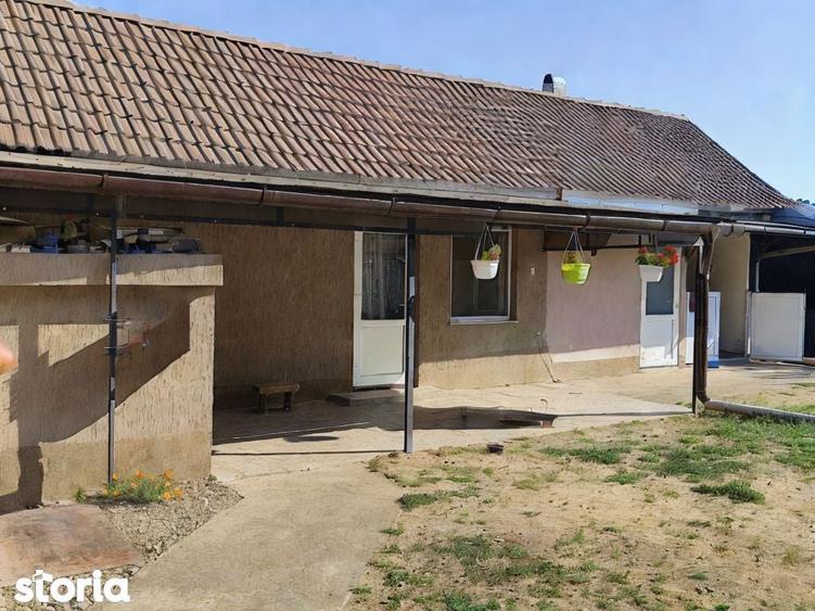 Casa la tara in Sacadat, Bihor, teren 2826 mp, acces auto - Vanzare - 7