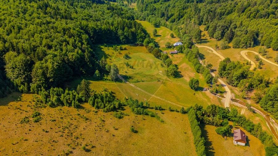 Teren 20000 mp, sat Dalghiu, com Vama Buzaului - 12