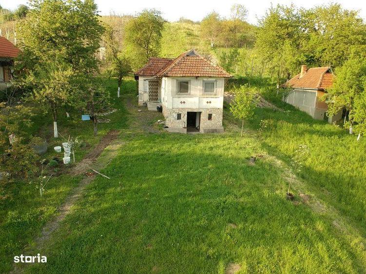 Teren Orasu Nou Vii ,Intravilan 38 Ari , Casa + Livada pomi fructiferi - 2