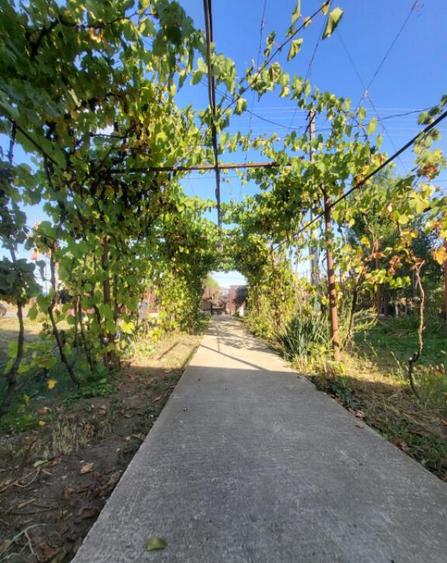 Casa Lipanesti, Judetul Prahova - 15