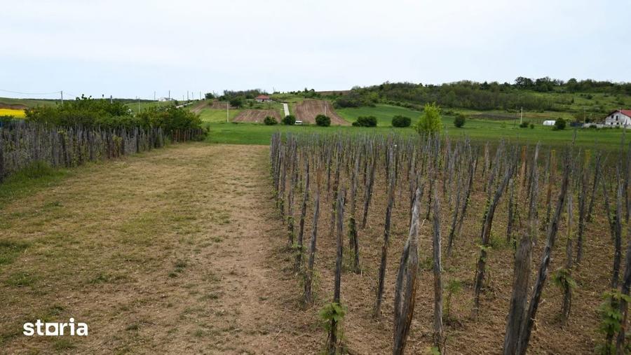 Casa de vanzare 2 locuinte in aceeasi curte, teren generos 3.855 - 13