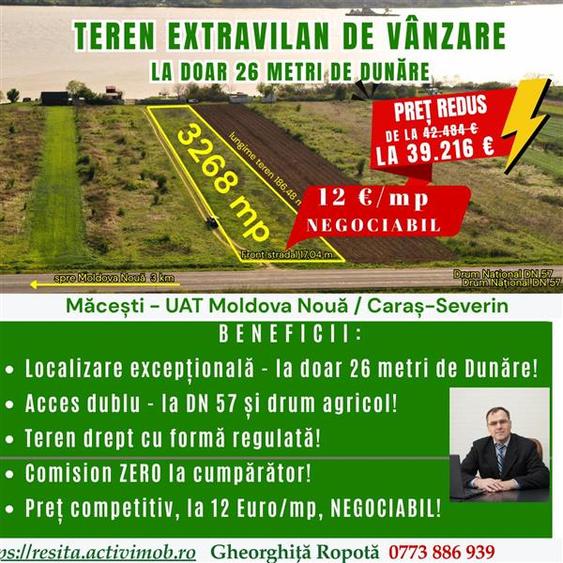 Macesti jud. CS - Teren extravilan de vanzare - la doar 26 metri de Dunare - 1