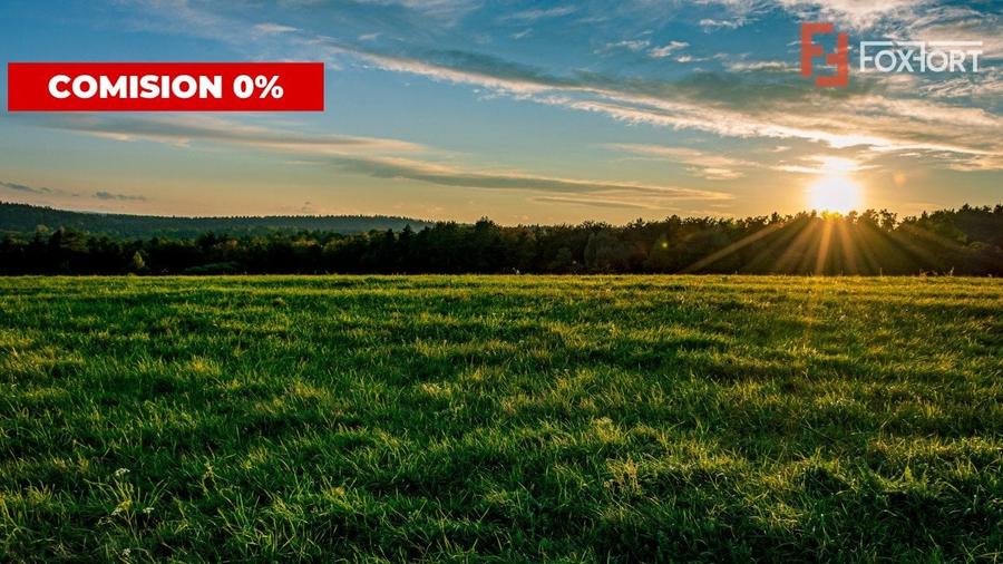 COMISION 0%-Teren de vanzare in Sacalaz - Pretabil constructii, front 24m - 3