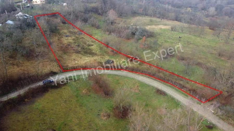 Teren de vanzare in comuna Valea Iasului, jude? Arge?. - 2