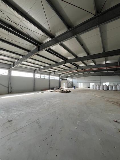 Hala productie, depozitare in comuna Moara Vlasiei, zona industriala, utilitati - 3