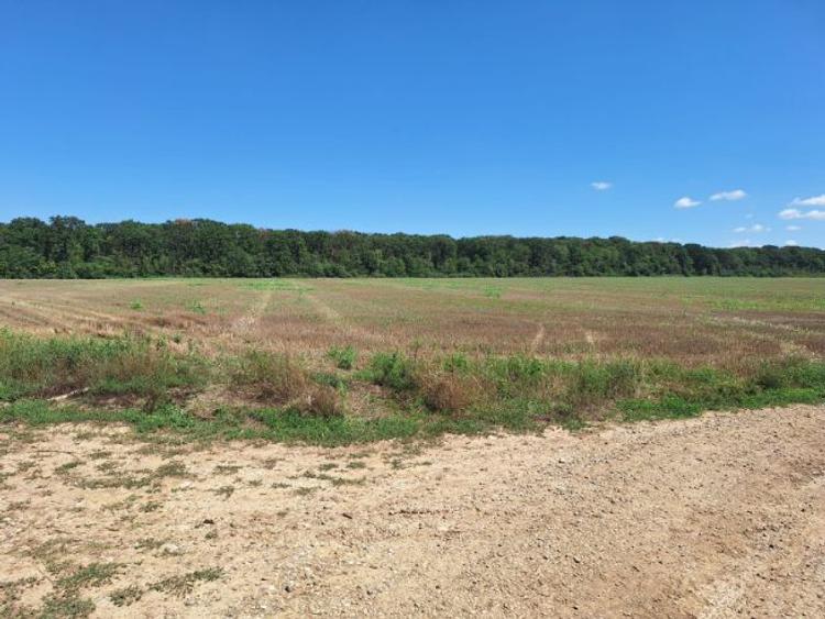 Vand teren 2 ha cu deschidere spre padure. - 9