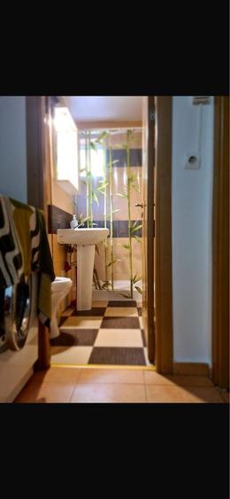 Garsoniera decomandada micto 3 strada frasinet - 3