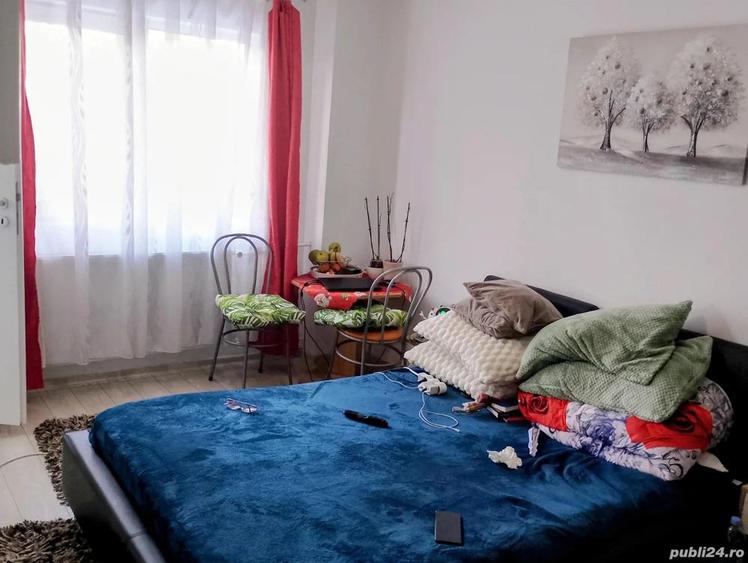 CI617 Telegrafului-Lorena,1 camera,Renovata - 4