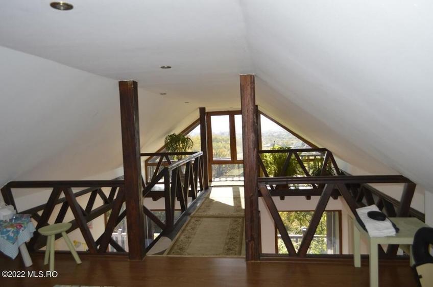 Topoloveni - Conacul Ion Mihalache, Domeniu pe 5 Hectare! - 38