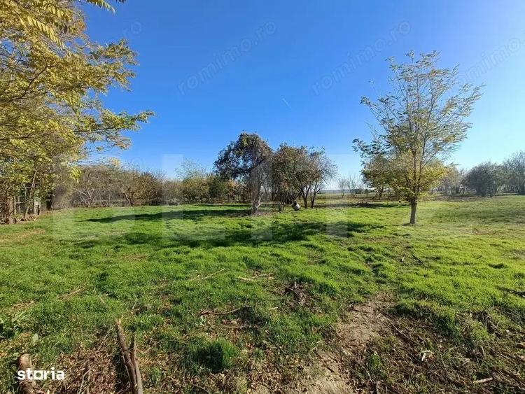 OPORTUNITATE TEREN 0,9 Ha intravilan constructii+extravilan - 4