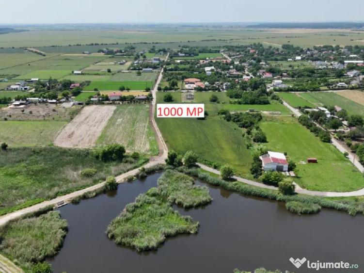 DASCALU-CREATA, LOT 1.000 MP! - 4