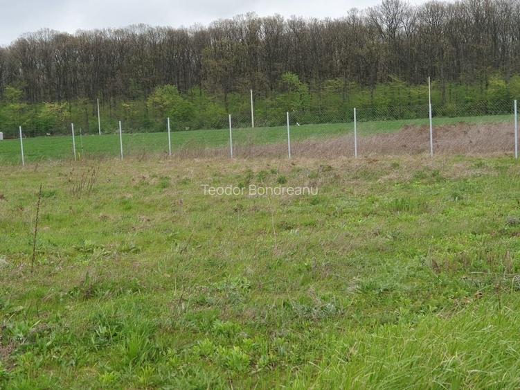 TEREN CONSTRUCTII-INTRAVILLAN-SUPERB-SNAGOV-PADURE-UTILITATI-PROIECT