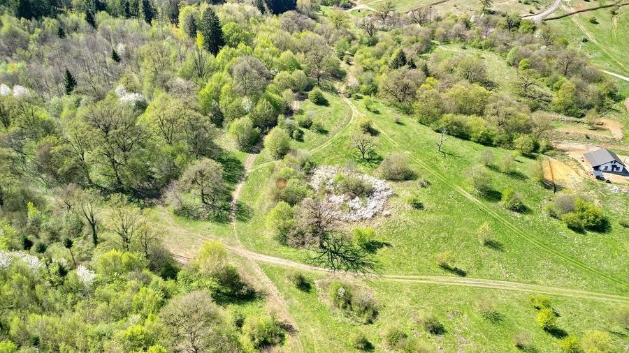 Teren Intravilan parcele 1000mp - 11