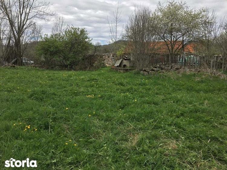 TEREN intravilan 1261mp Lelese - 4