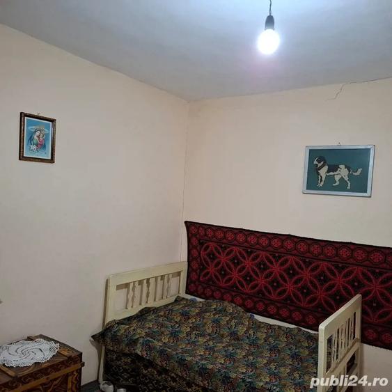 Vand Casa cu curte 851 mp 15 minute de Alexandria - 2