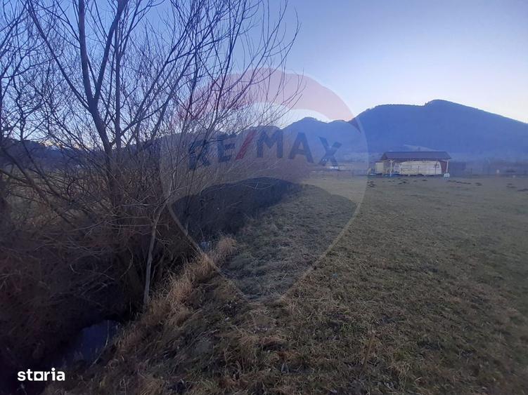 Teren 1,404mp Zarnesti / Strada FN - 5