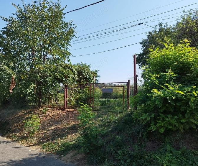 Teren de 1700 mp, în Fălticeni