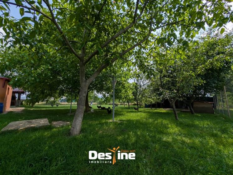 Valea Adanca - Casa individuala P+M 124 mp utili 1000 mp Teren - 17