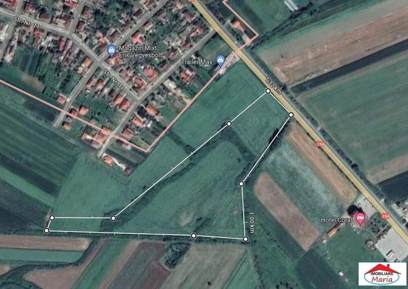Teren extravilan 3,56 hectare in Dorolt ( ID 22873) - 1