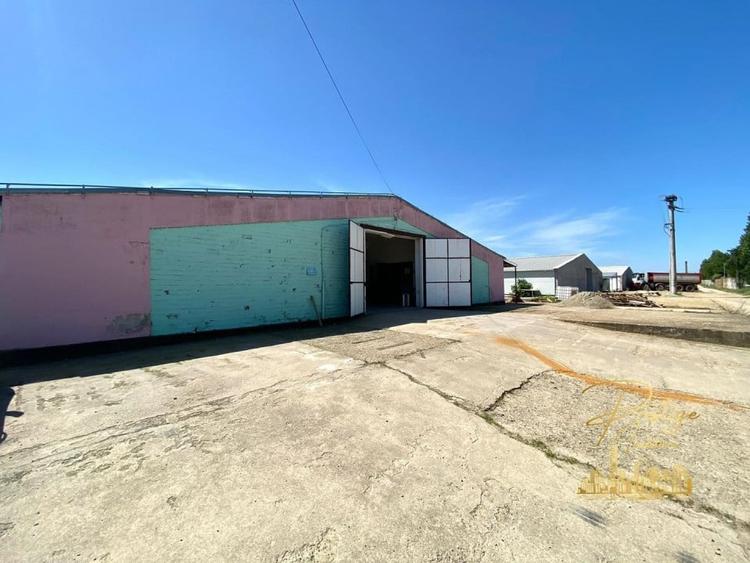 Hala 470 mp de inchiriat in Palota - Bihor - 4