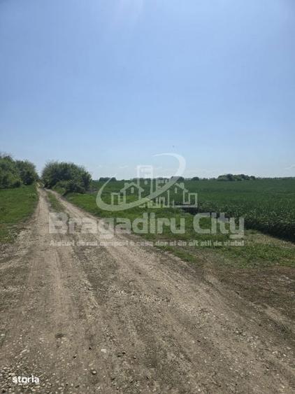 Teren ideal investitie Cornetu granita cu Clinceni - 3