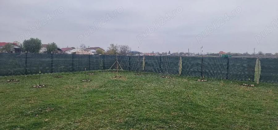 Casa Vii?oara, Paune?ti, Vrancea - 4