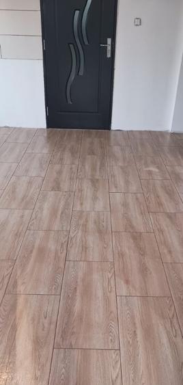 Chelinta, casa caramida, 1,2 ha teren - 2