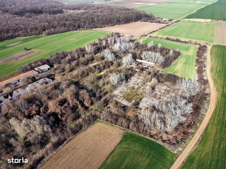 Ferma si livada de meri in judetul Ilfov - 9