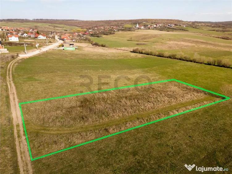 RECO teren intravilan in Betfia - 3