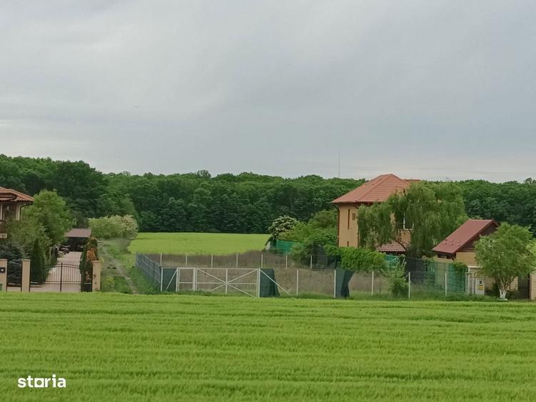 Casa de vanzare Ciofliceni com.Snagov - 4