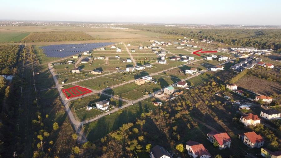 Oportunitate Eden Forest - 7