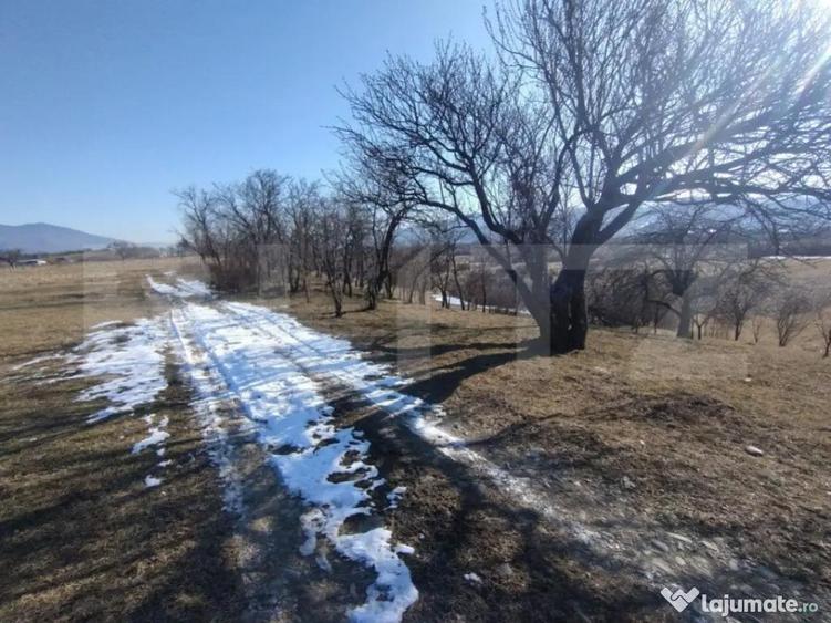 Teren extravilan de vanzare, 25 ari, zona Rusul Bargaului - 3