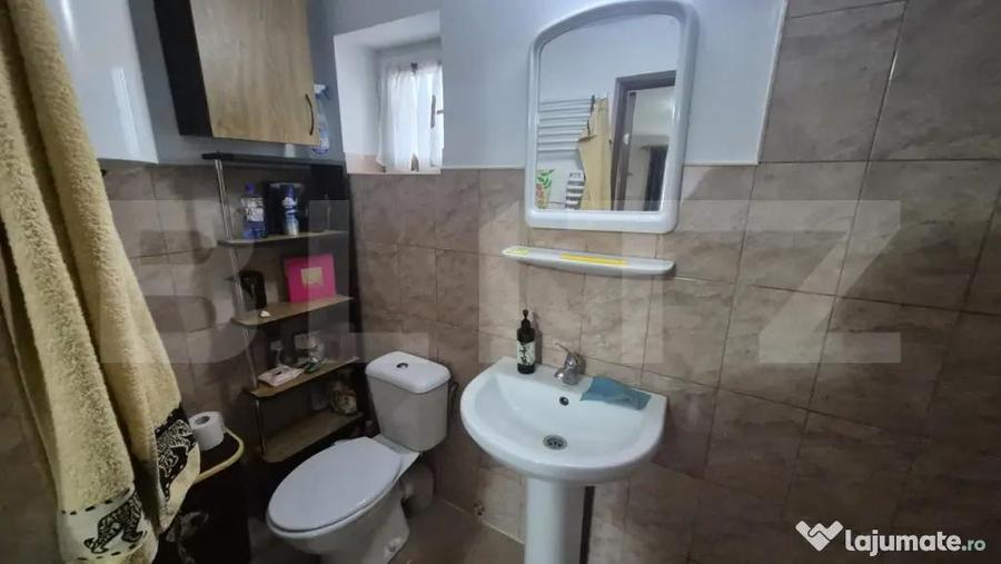 Casa cu 2 camere, 65 mp, teren 2910 mp, in Viile Satu Mare - 17