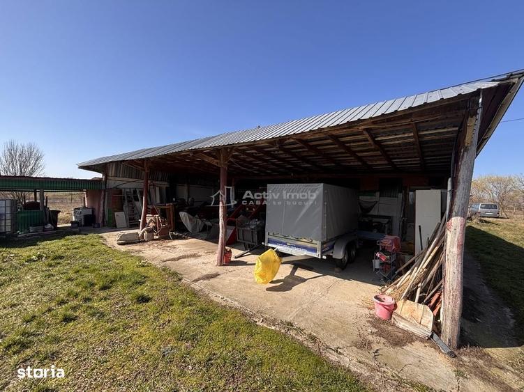 Domeniu cu lacuri de pescuit - cabane si livada - Oportunitate rara l - 6