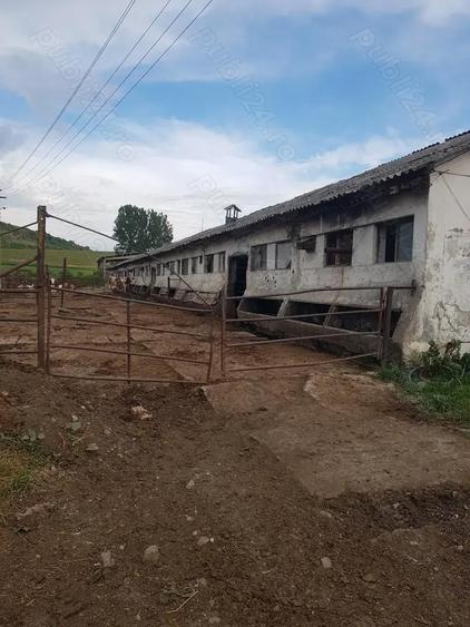 Grajd de vanzare Sangeorgiu de Padure jud mures - 3