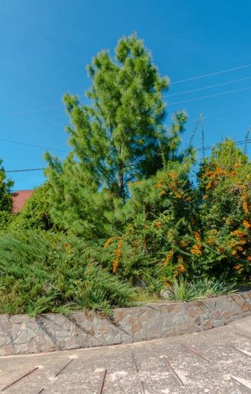 Vila de lux, 427 mp utili si 2313 mp teren, pe malul lacului (Cociova) Balotesti - 2