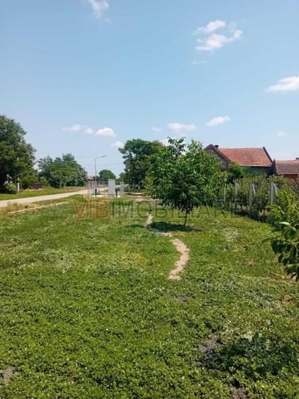 Teren intravilan 16.000 mp | Livadă mixtă | Front stradal 85 ml | Se doreste van - 4