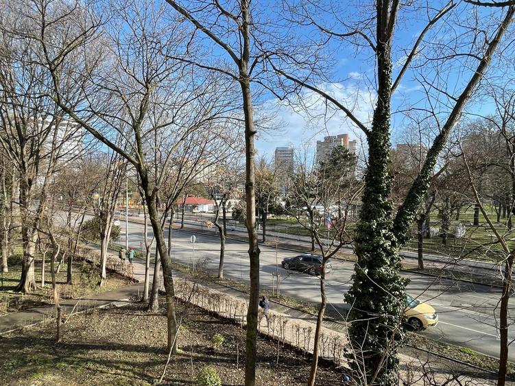 Gara- Bd. Ferdinand, apartament cu 2 camere decomandate, liber, vedere spre parc - 1